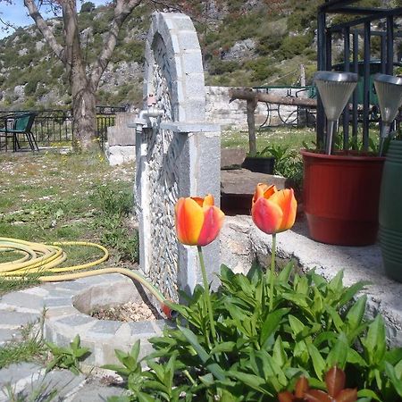 Kepésovon Terpsichori Guesthouse מראה חיצוני תמונה