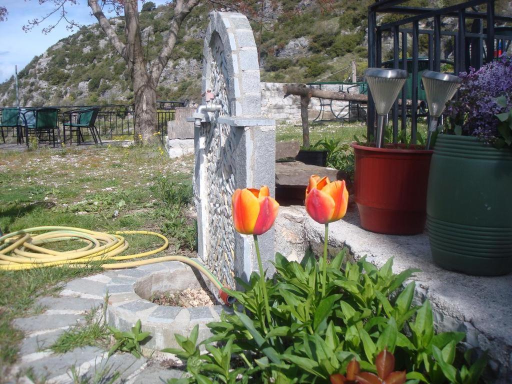 Kepésovon Terpsichori Guesthouse מראה חיצוני תמונה